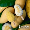 Mango Sticky Rice Ice Cream (icedea)