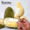 Durian Ice Cream (icedea)