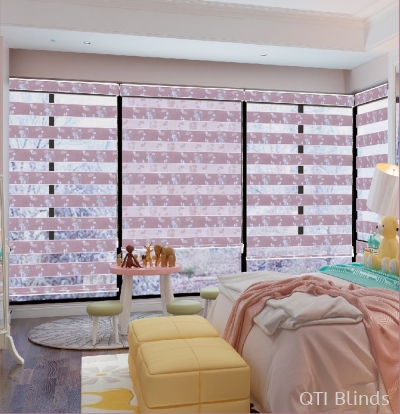 Zebra Blinds