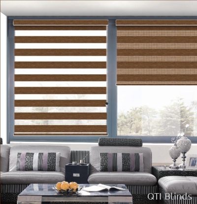 Zebra Blinds