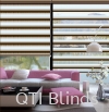 Zebra Blinds Zebra Blinds