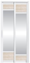 SD-8171 Toilet Door