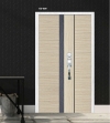 ED-809 Laminate Door