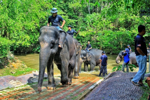 Elephant Sanctuary & Aborigine Settlement