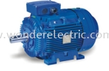 ZWE (IE2) Increased Power Motors IEC Series AC Motors