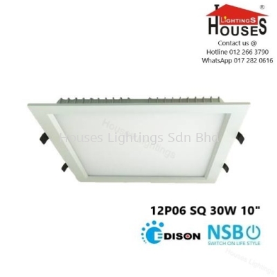 NSB 12P06 SQ 30W (DL WW) DOWNLIGHT