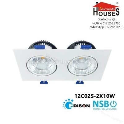 NSB 12C02 SQ 2X10W (DL WW) EYEBALL