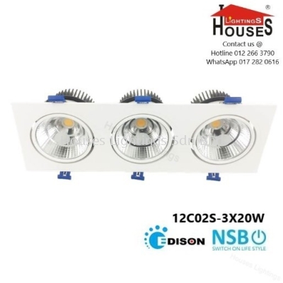 NSB 12C02 SQ 3X20W (DL WW) EYEBALL