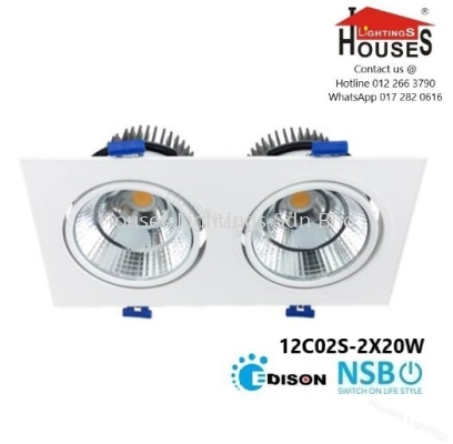 NSB 12C02 SQ 2X20W (DL WW) EYEBALL