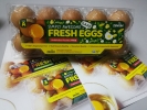  Eggs Product SP Products 