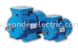 RMS (IE1) Removable Feet Standard Efficiency Aluminum Motors IEC Series AC Motors