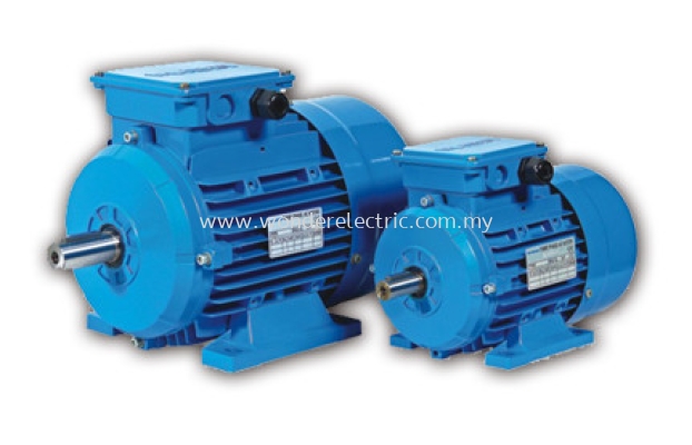 RMS (IE1) Removable Feet Standard Efficiency Aluminum Motors