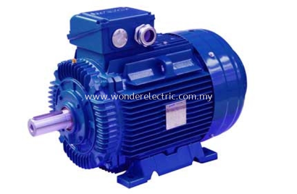 SSWE (IE4) SSWE Super-premium Asynchronous Motors