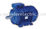 WE (IE2) High Efficiency Asynchronous Cast Iron Motors IEC Series AC Motors