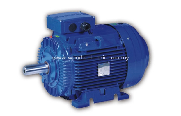 WE (IE2) High Efficiency Asynchronous Cast Iron Motors