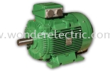 SWE (IE3) Premium Efficiency Cast Iron Motors IEC Series AC Motors