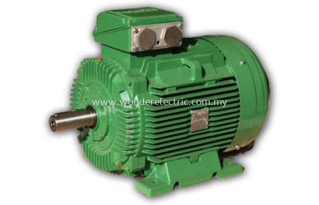 SWE (IE3) Premium Efficiency Cast Iron Motors