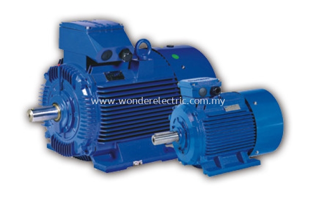 WY (IE1) Low-Voltage High Output Motors