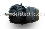 SNA Series NEMA Premium Efficiency Cast Iron Motors NEMA Series AC Motors