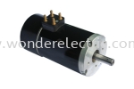 TSZ Series TSZ125-4.0-30-1 Brush Motors DC Motors