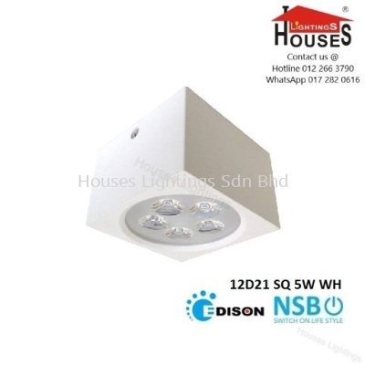 NSB 12D21S 5W WH (DL WW)