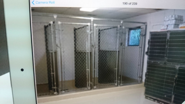 Custom Dog Cage Design