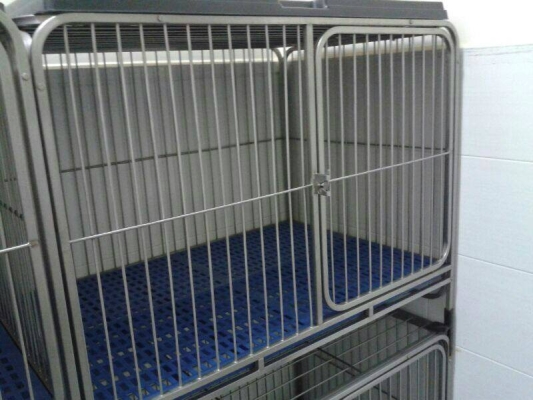 Custom Dog Cage Design