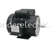 WSEDL56 (ODP) NEMA Series AC Motors