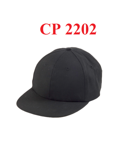 CP 2202