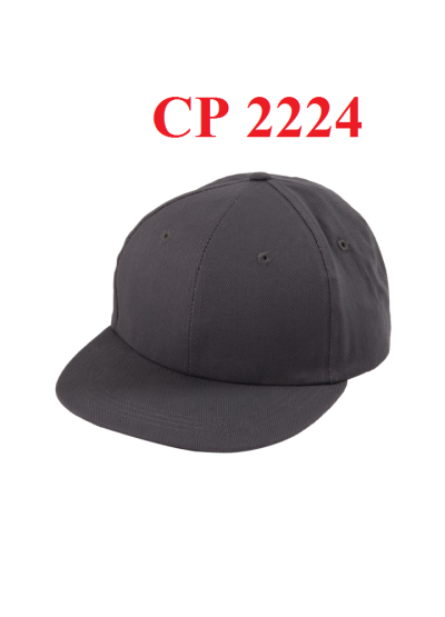 CP 2224