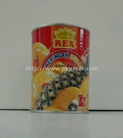 Rex Pineapple Slices 565gm 