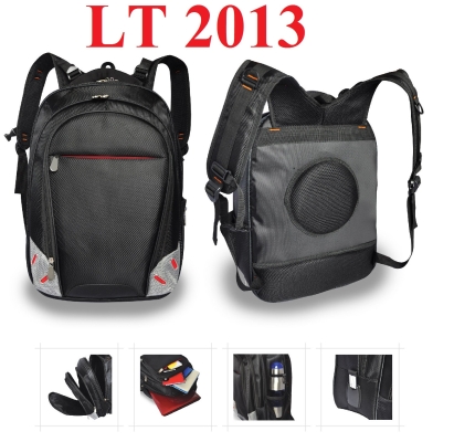 LT 2013