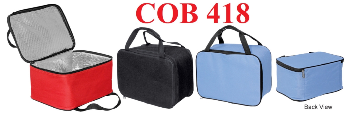 COB 418