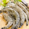 Tiger Prawn Seafood