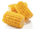 5'Corn on Cob  Frozen Food