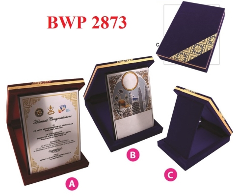 BWP 2873