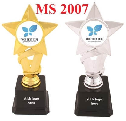 MS 2007