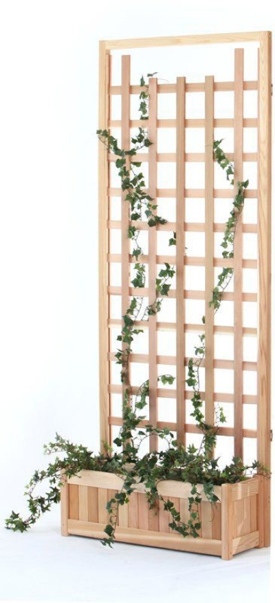 Wall Plant Rack