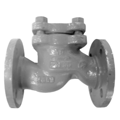 Interflow Cast Steel Check Valve PN40