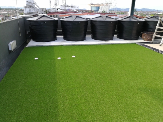 Artificial Grass