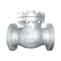 Check Valve