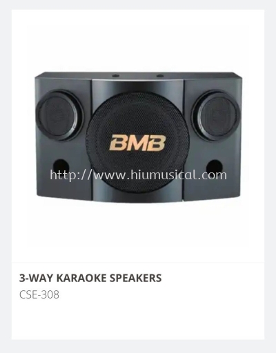 BMB CSE 308 Karaoke Speaker