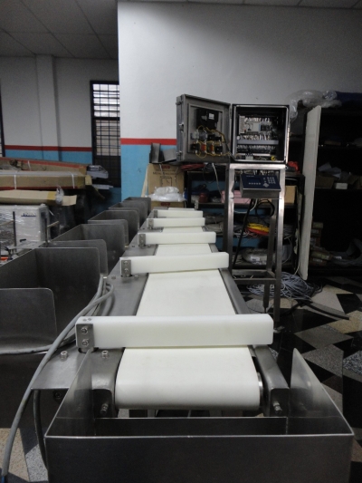 Food Industrial Sorting Conveyor System