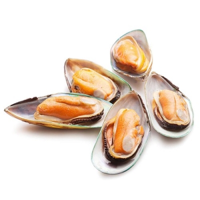 Green Shell Mussel