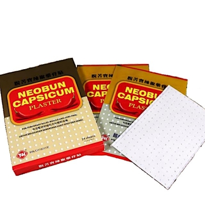 NEOBUN CAPSICUM(L)PLASTER 24'S 