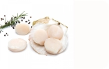 Scallop Meat Shell Products Frozen Seafood