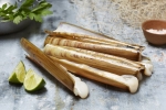 Bamboo Lala Shell Products Frozen Seafood