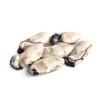 Oyster Meat Shell Products Frozen Seafood