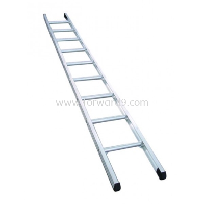 Heavy Duty Single Pole Ladder ESDR Series 