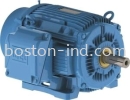 WEG W22 Cast Iron Motor WEG Motori Induction Motor